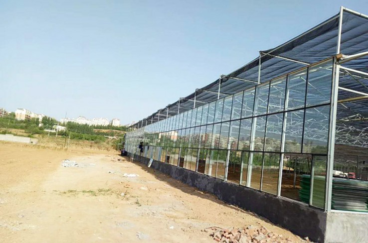 内蒙古标准玻璃温室大棚造价