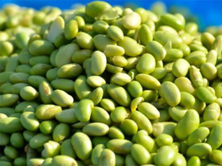 沈阳副食品配送​告诉您大豆的保存方法