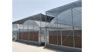 云南新型温室大棚设计价格,钢结构玻璃温室建设