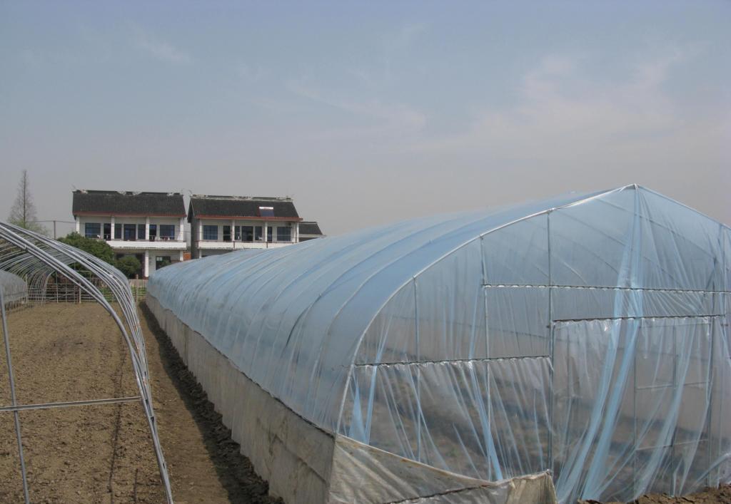 北京冬季蔬菜温室设计