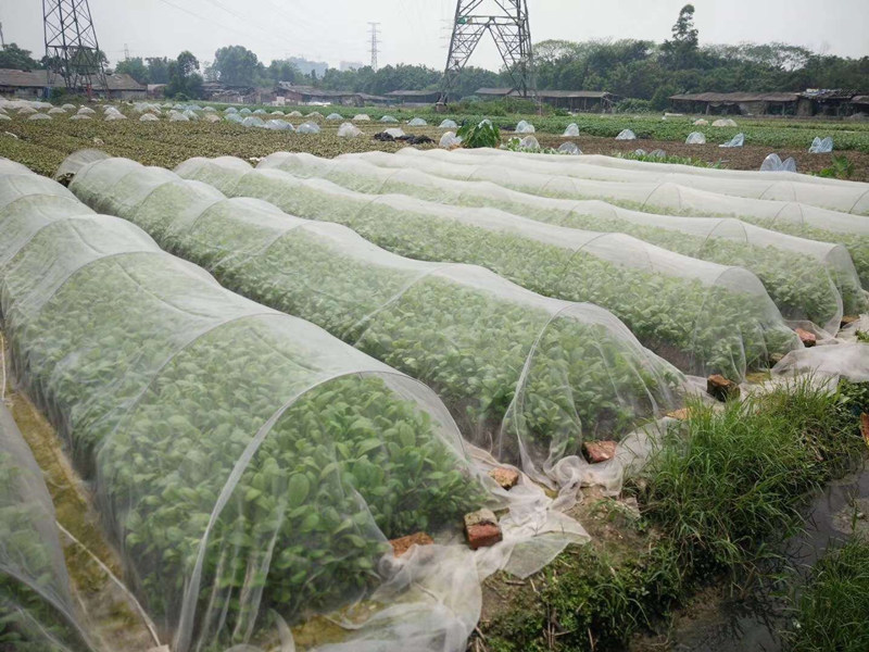 重庆温室防虫网价格