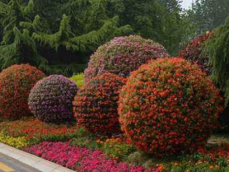 重慶景觀花球造型設計