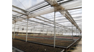 湖南花卉市场温室建造