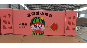 江苏新型水果飞机盒厂家